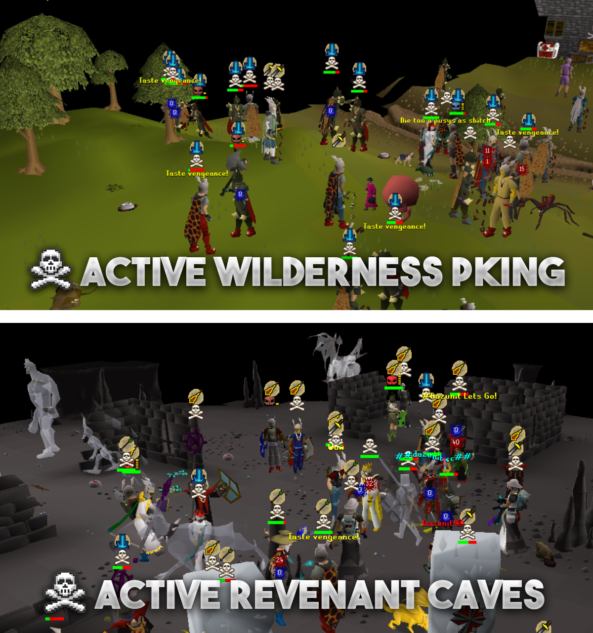 🏆ROATPKZ OSRS-PVP🏆 RSPS screenshot 1